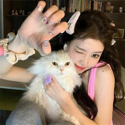 少年师爷之侠义欢乐行